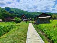 A Springtime Escape to Shirakawago
