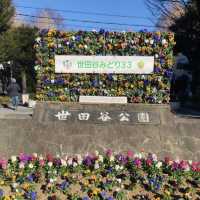 【祐天寺】世田谷公園 - SLが見れる交通公園 -