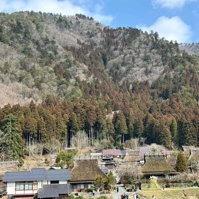 大阪自駕遊行程推介🤩🤩🤩唔駛自己再諗爆頭啦