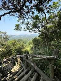 台中大坑2號步道-路線木頭製造的小型萬里長城山