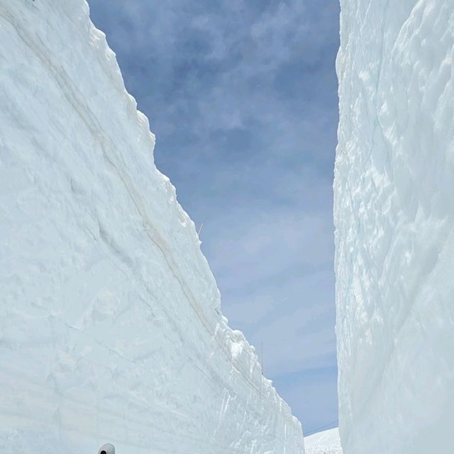 立山室堂雪之大谷，壯觀雪壁與藍天交織的冬日奇景。