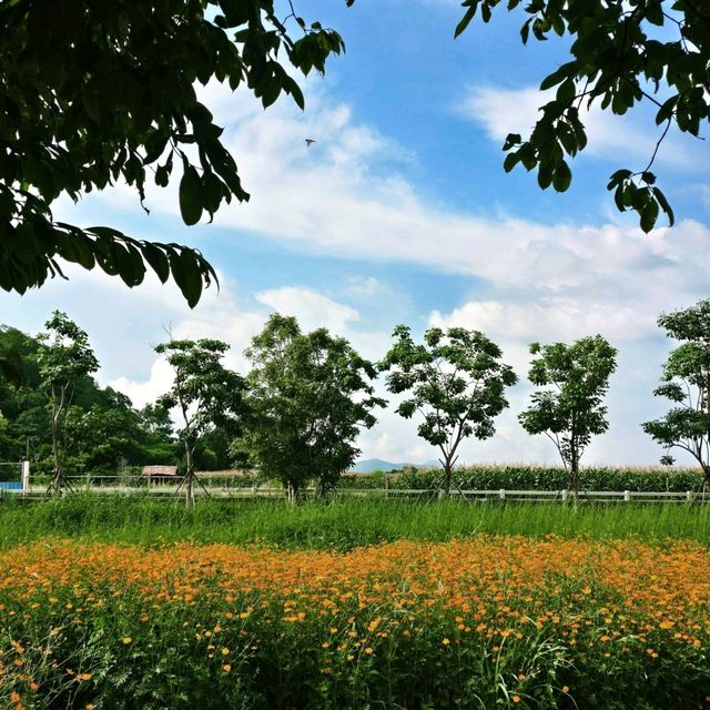🏡 บ้านหลังน้อยท่ามกลางสวนดอกไม้ 