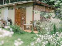 Mori Natural Farm โมริ เนเชอรัลฟาร์ม เชียงใหม่ 