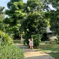 The Tree Riverside ที่พักสวยในอำเภอแก่งกระจาน