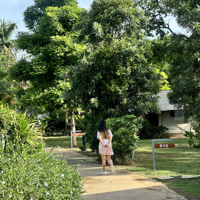 The Tree Riverside ที่พักสวยในอำเภอแก่งกระจาน