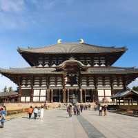 เมืองนาราในฤดูใบไม้ร่วง !!!