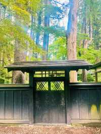 【日本東北】角館武家屋敷：陸奧小京都，江戸時代的風情縮影