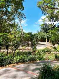 Wild Encounters at Singapore Zoo