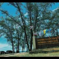 Forest park Thailand 