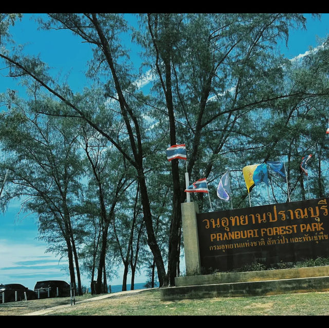 Forest park Thailand 