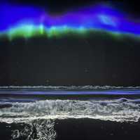 Immersive Delights at Arte M: A Serene Exploration
