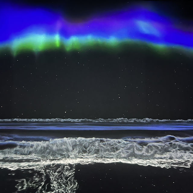 Immersive Delights at Arte M: A Serene Exploration