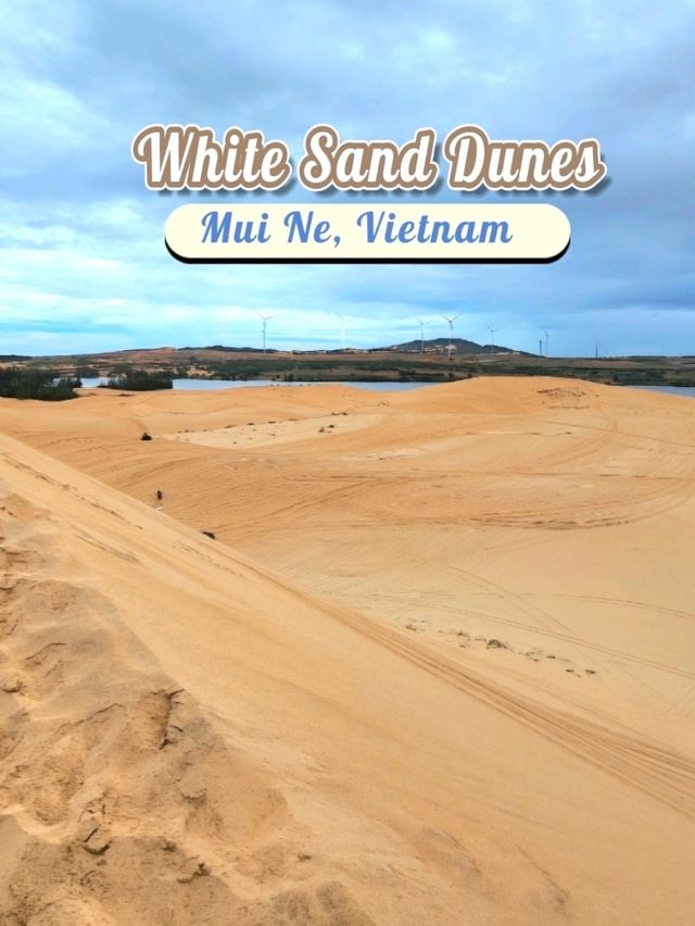 White Sand Dunes: ทะเลทรายขาวแห่งเวียดนาม 🏜
