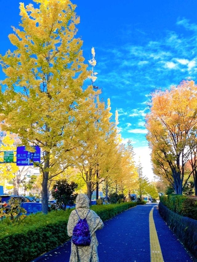 WANDERING THROUGH JAPAN IN AUTUMN