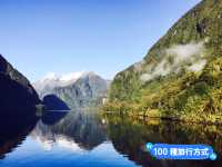 📍紐西蘭南島。神奇峽灣｜在峽灣裡過夜Doubtful Sound Over Night Cruise