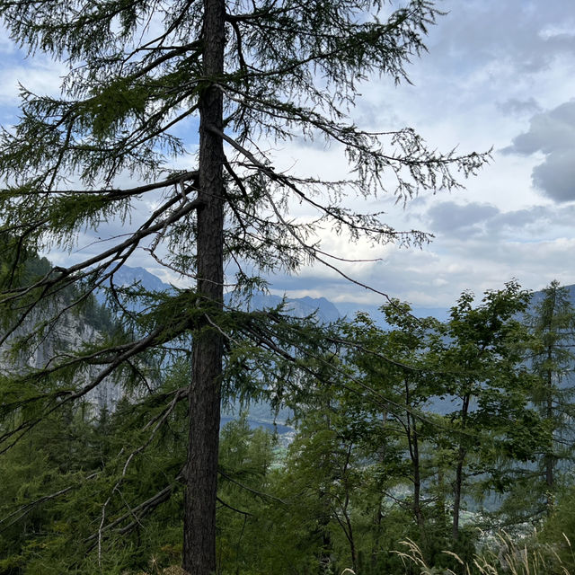 奧地利行山風景