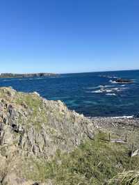 【北海道礼文島】最北限の地スコトン岬✨