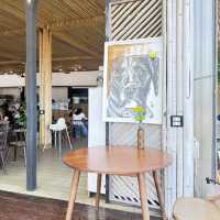 🌿คาเฟ่บ้านติดดินเชียงคาน🪴