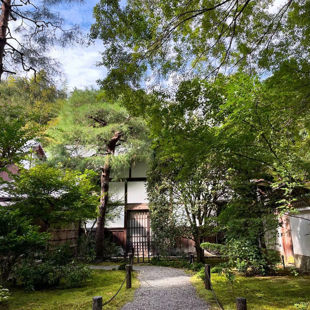 #竹林山松月院：在竹林深處尋找禪意的樂趣！🎍🧘‍♂️