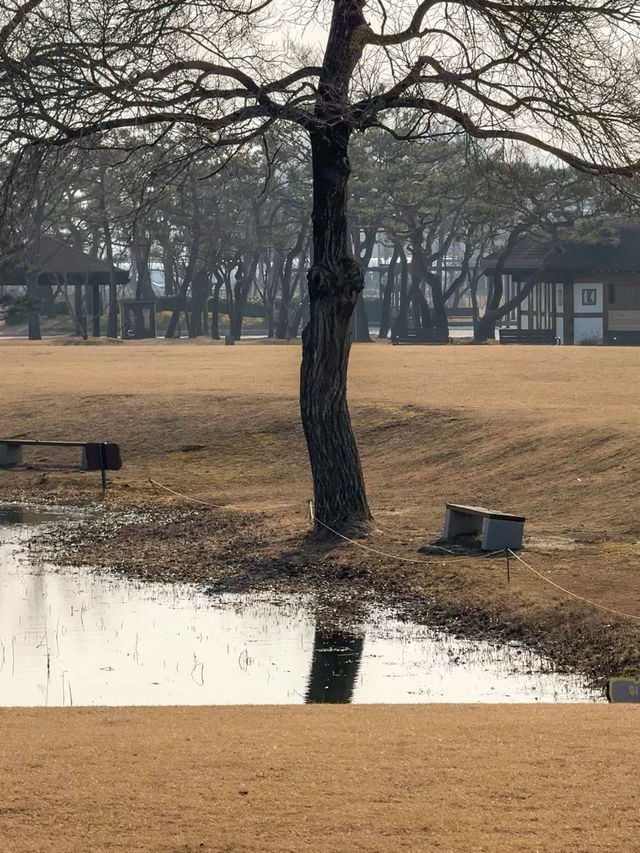 익산에서 꼭 가봐야하는 곳