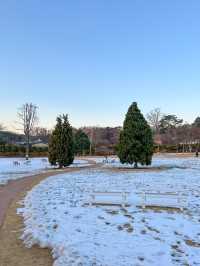 눈밭에서 노을 사냥 가능한 카페🌅 ⛄️
