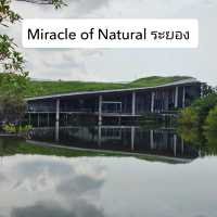 เที่ยวระยอง ชม Miracle of Natural 