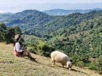 อาข่า ฟาร์มวิลล์ (Akha FarmVille)