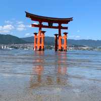 【広島】世界遺産・日本三景の宮島⛩️