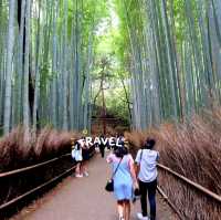 เสน่ห์เมืองเกียวโต ป่าไผ่ Arashiyama