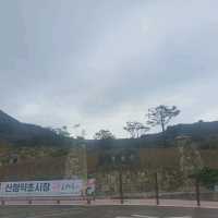 황매산!!!  대한민국의 대표 억새 군락지👍