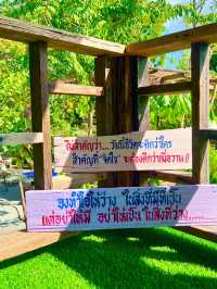ป่าช้าคาเฟ่
