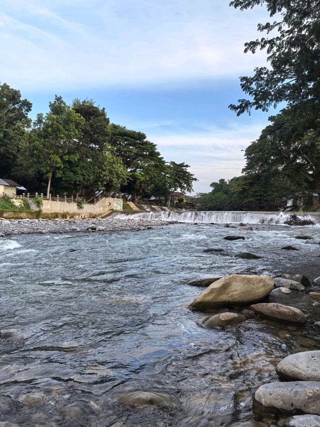 Things to do in Bukit Lawang 