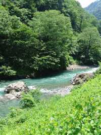 【新潟🇯🇵】大自然をバックに素敵な写真を撮ろう！