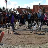 日本北海道 - 函館百萬夜景,小樽運河,洞爺湖,夢幻的國度