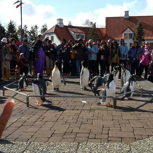 日本北海道 - 函館百萬夜景,小樽運河,洞爺湖,夢幻的國度 日本北海道 - 函館百萬夜景,小樽運河,洞爺湖,夢幻的國度