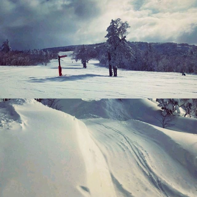 札幌國際滑雪場