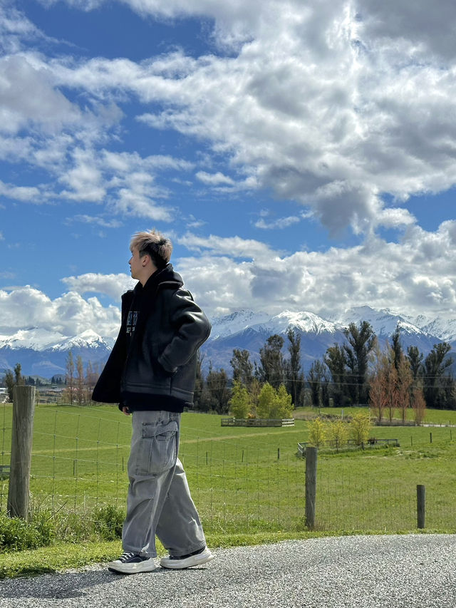 在新西蘭瓦納卡薰衣草農場的芬芳之旅