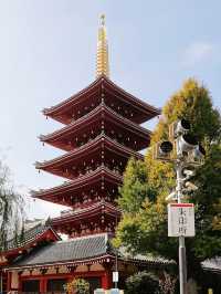 Sensoji Temple (วัดเซ็นโซจิ)