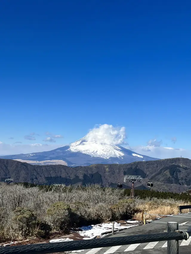 하코네 온천 여행🚞