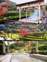東京箱根🍁紅葉之旅🍁2天之行