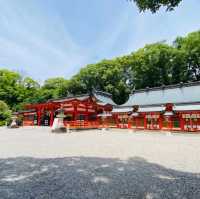 大歲神社📝清幽靜謐⛩️🌲