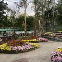 กาแล เชียงใหม่ - ร้านอาหารท่ามกลางธรรมชาติ 🌳🍃
