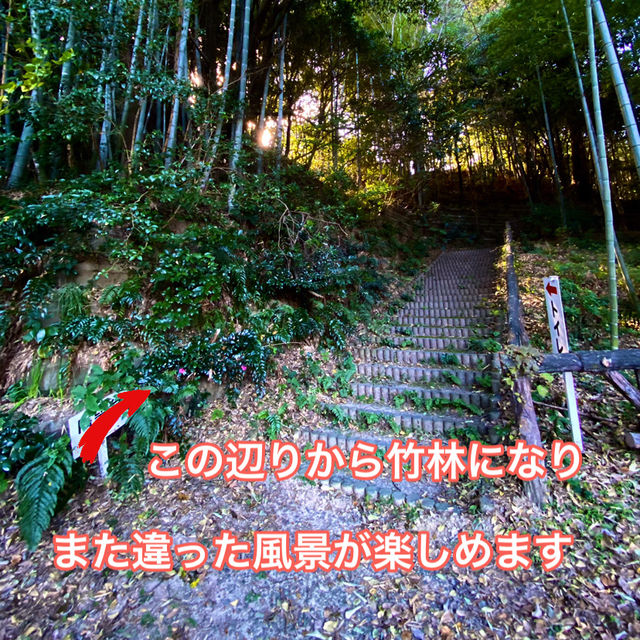 知多半島の城巡り　常滑市　大野城
