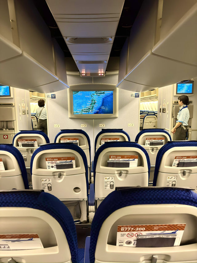 東京　東京観光　羽田空港からANAで新千歳空港へ快適フライト！