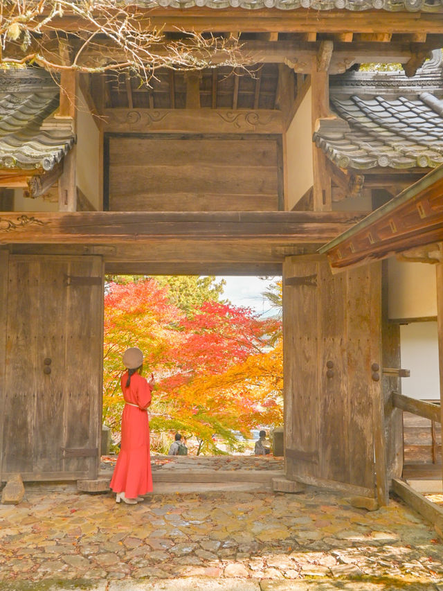 【京都】京都、穴場の絶景！紅葉が見事なお寺