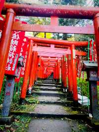 【神奈川県/鎌倉　白狐の置物がたくさん並ぶ神秘的な場所『佐助稲荷神社』】