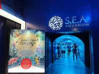 Dive into the Wonders of S.E.A. Aquarium @ Sentosa