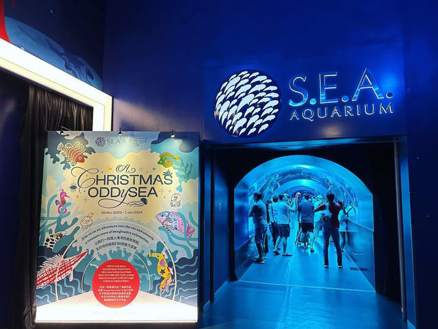Dive into the Wonders of S.E.A. Aquarium @ Sentosa