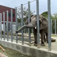 🇯🇵【香川県】しらとり動物園🐘へ行こう！🦁