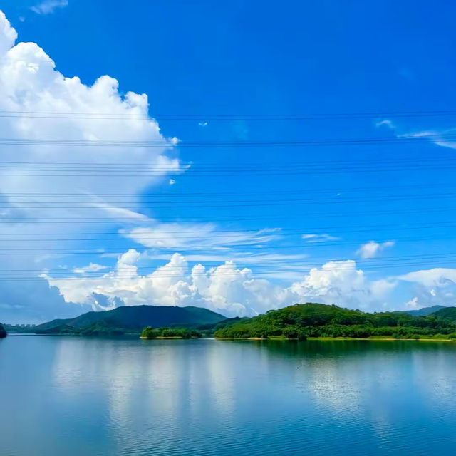 ～福林公園～清新派對～